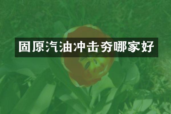 固原汽油沖擊夯哪家好