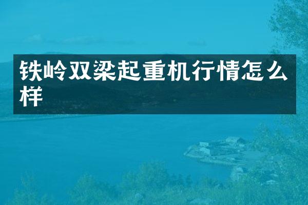 鐵嶺雙梁起重機行情怎么樣