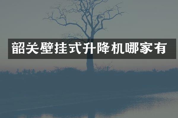 韶關壁掛式升降機哪家有