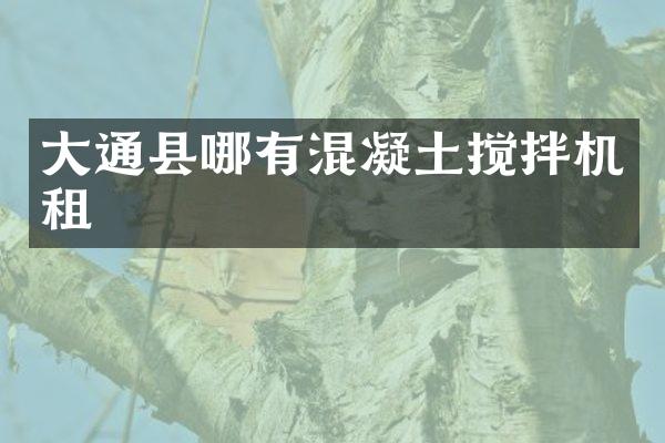 大通縣哪有混凝土攪拌機租