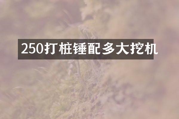 250打樁錘配多大挖機