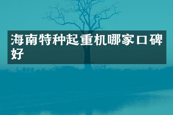 海南特種起重機(jī)哪家口碑好