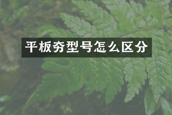 平板夯型號(hào)怎么區(qū)分