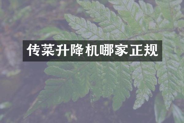 傳菜升降機哪家正規(guī)