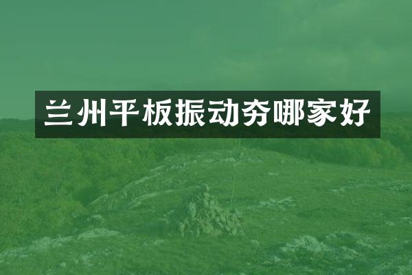 蘭州平板振動夯哪家好