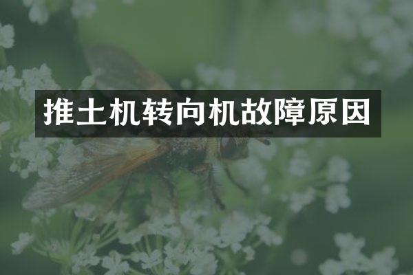 推土機(jī)轉(zhuǎn)向機(jī)故障原因