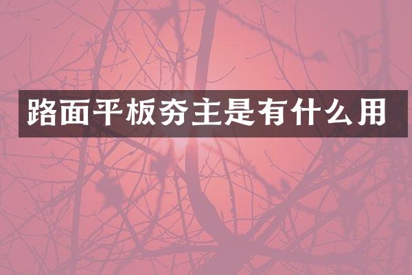 路面平板夯主是有什么用