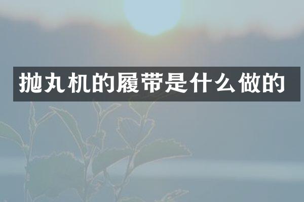 拋丸機(jī)的履帶是什么做的