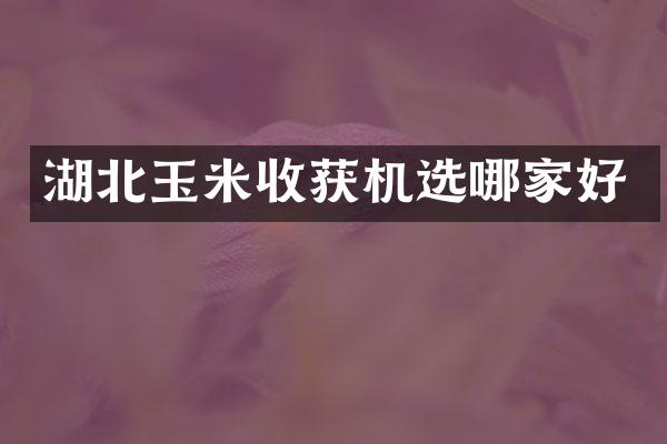 湖北玉米收獲機(jī)選哪家好