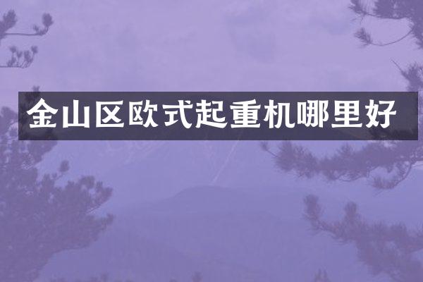 金山區(qū)歐式起重機哪里好