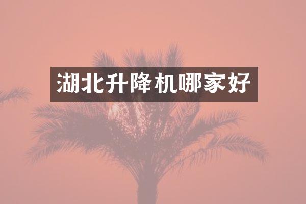 湖北升降機哪家好