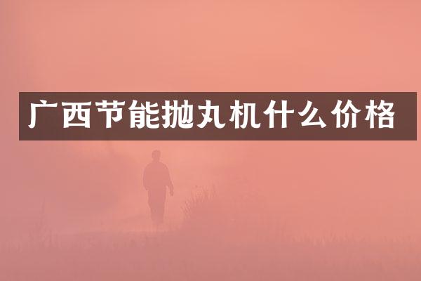 廣西節(jié)能拋丸機什么價格