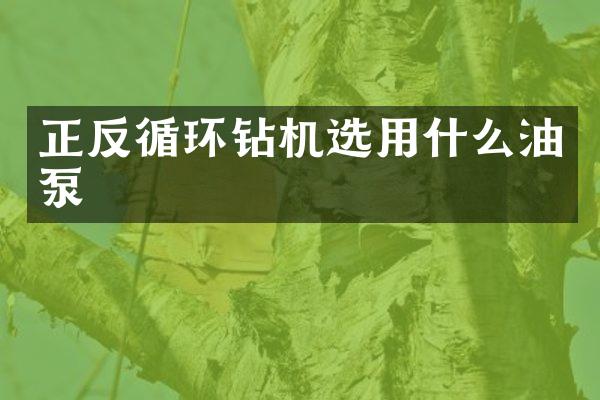 正反循環(huán)鉆機(jī)選用什么油泵