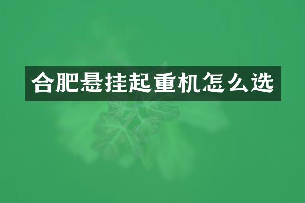 合肥懸掛起重機(jī)怎么選