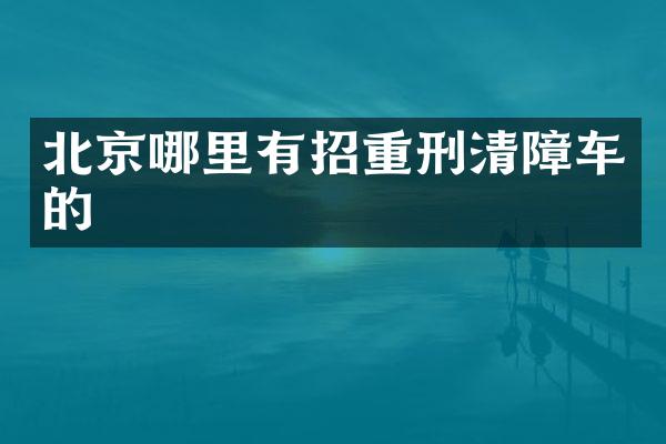 北京哪里有招重刑清障車的