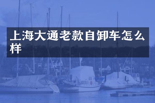 上海大通老款自卸車怎么樣