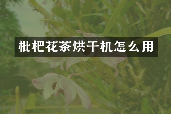 枇杷花茶烘干機怎么用