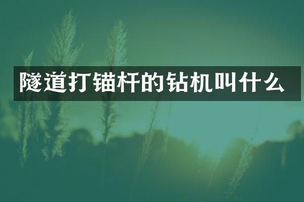 隧道打錨桿的鉆機(jī)叫什么