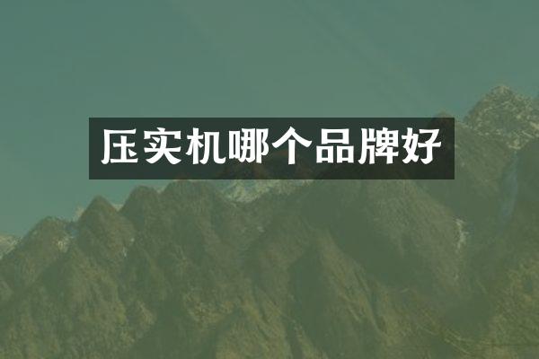 壓實(shí)機(jī)哪個(gè)品牌好