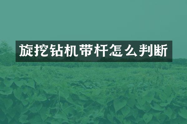 旋挖鉆機帶桿怎么判斷