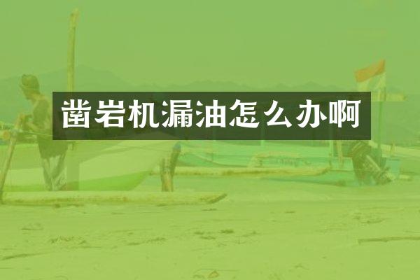 鑿巖機漏油怎么辦啊