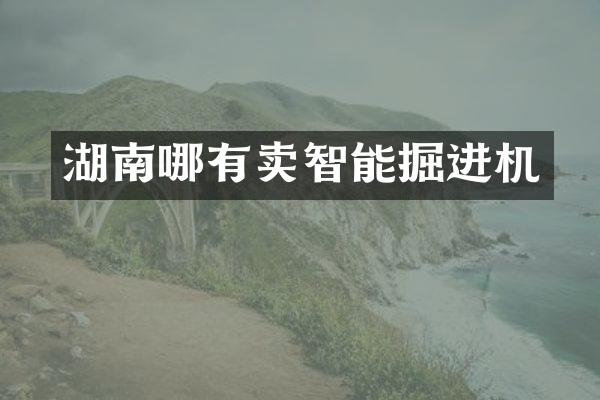 湖南哪有賣智能掘進(jìn)機(jī)