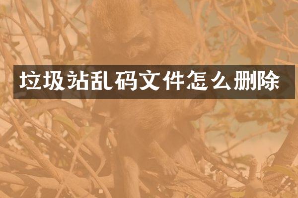 垃圾站亂碼文件怎么刪除