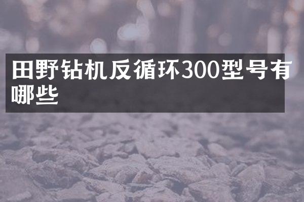 田野鉆機反循環(huán)300型號有哪些