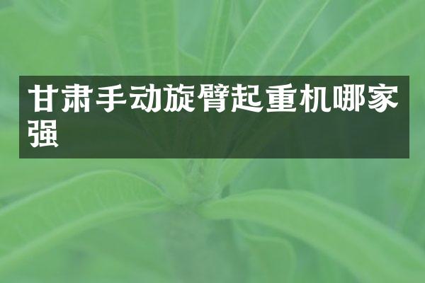 甘肅手動旋臂起重機哪家強