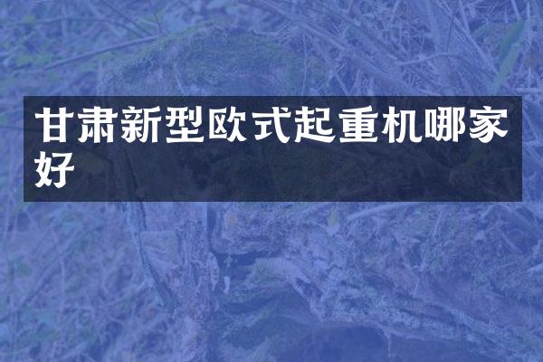 甘肅新型歐式起重機哪家好