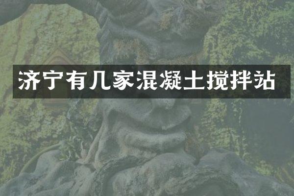 濟(jì)寧有幾家混凝土攪拌站