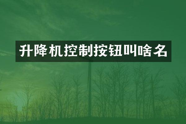 升降機控制按鈕叫啥名