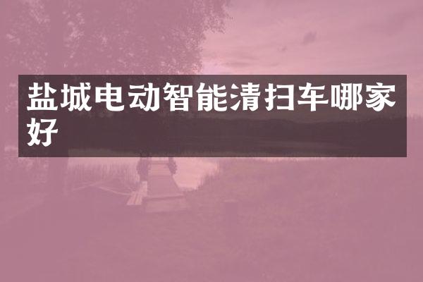 鹽城電動智能清掃車哪家好