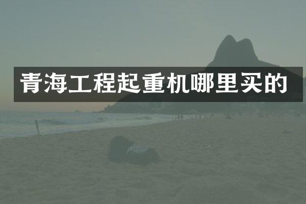 青海工程起重機哪里買的