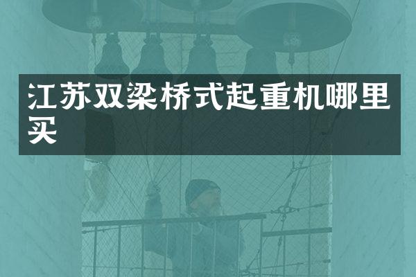 江蘇雙梁橋式起重機(jī)哪里買