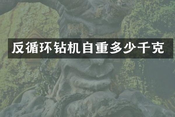 反循環(huán)鉆機(jī)自重多少千克