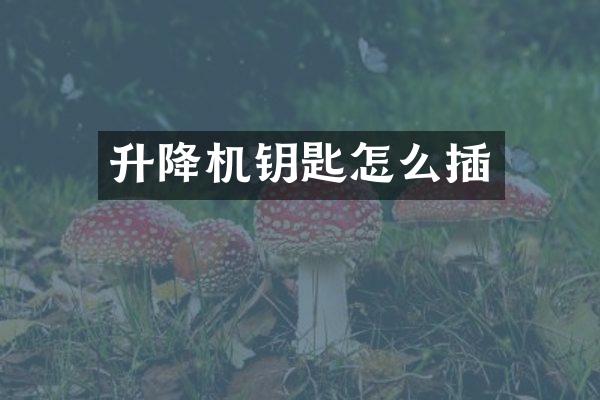 升降機(jī)鑰匙怎么插