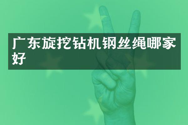 廣東旋挖鉆機鋼絲繩哪家好