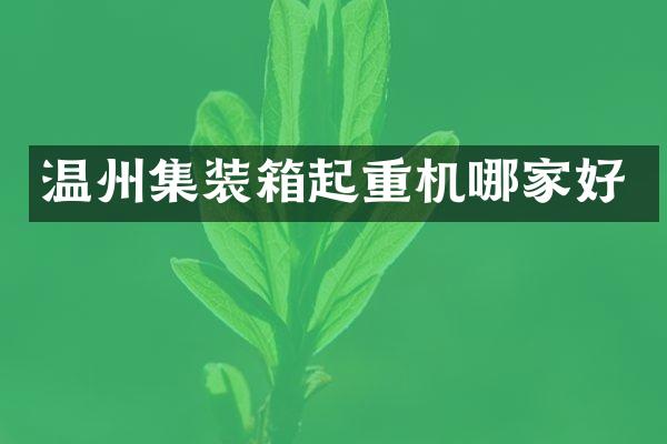 溫州集裝箱起重機哪家好