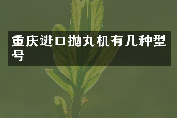 重慶進口拋丸機有幾種型號