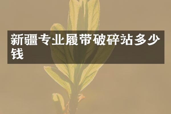 新疆專業(yè)履帶破碎站多少錢