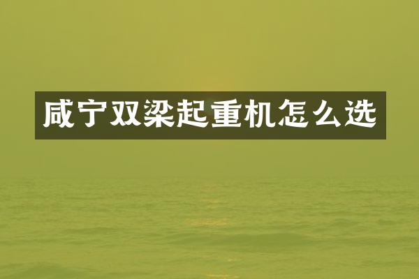 咸寧雙梁起重機(jī)怎么選