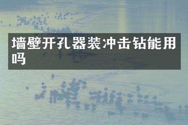 墻壁開(kāi)孔器裝沖擊鉆能用嗎