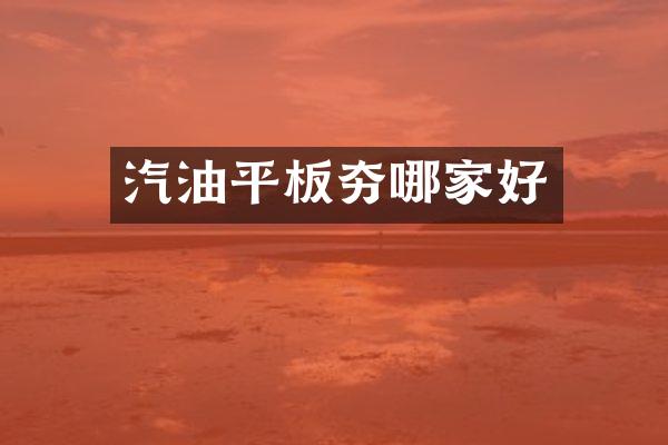 汽油平板夯哪家好