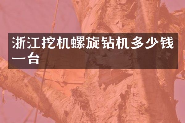 浙江挖機螺旋鉆機多少錢一臺