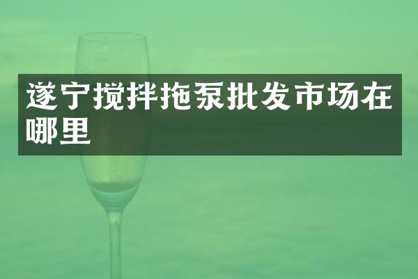 遂寧攪拌拖泵批發(fā)市場在哪里