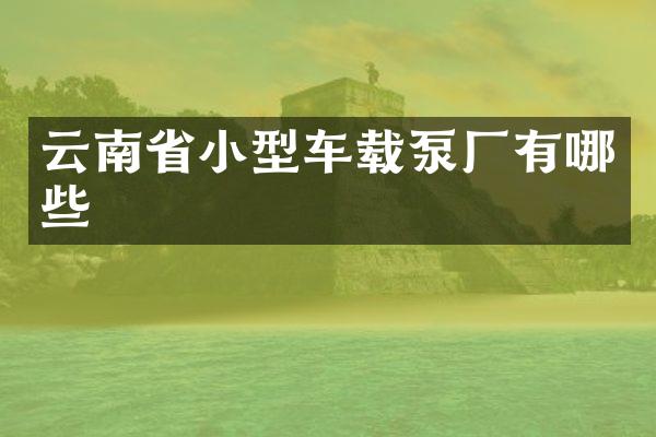 云南省小型車載泵廠有哪些