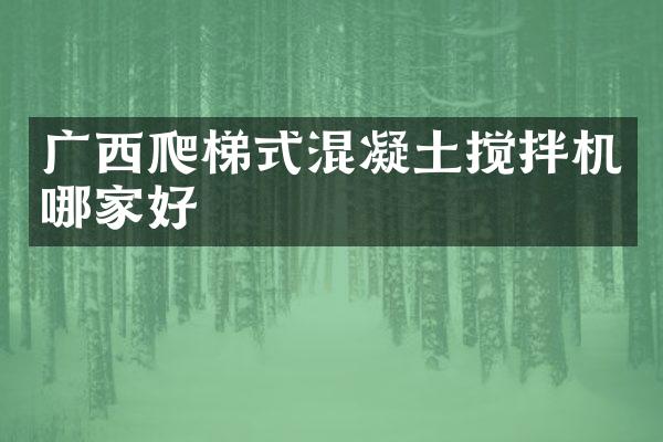 廣西爬梯式混凝土攪拌機哪家好