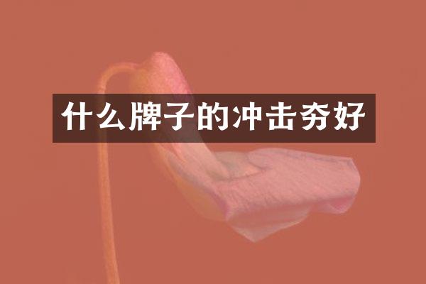 什么牌子的沖擊夯好