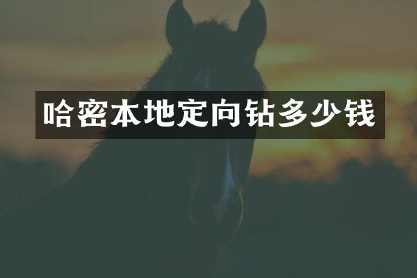 哈密本地定向鉆多少錢